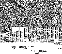 A glitchy mess, it seem to be the gameboycamera ram.