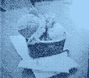 Ice cream on a paper towel.