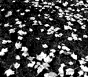 A spread out pile of leaves on the ground, taken in 2 bit black and white.