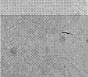 A faint outline of a bird flying away, taken in 2 bit black and white.