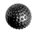 A black ball with bumps against a white background, taken in 2 bit black and white