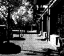 One point perspective of a sidewalk with lined trees, cars, and buildings, taken in 2 bit black and white.