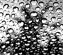 A pattern of raindrops on glass, an out of focus shadow in the background. Taken in 2 bit black and white.