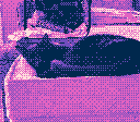 A pair of black cats sleeping.